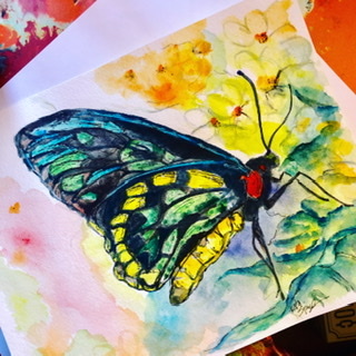  - 20 Paintings Series  ~ Butterflies