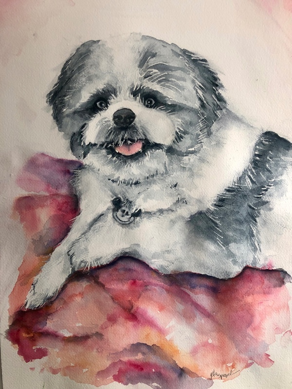  - Pet Portraits