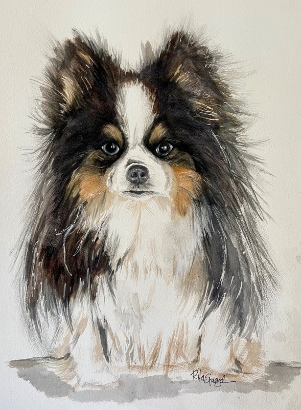  - Pet Portraits