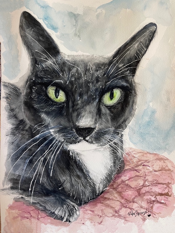  - Pet Portraits