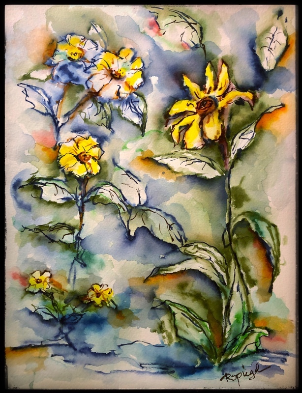  - Flowers & Nature