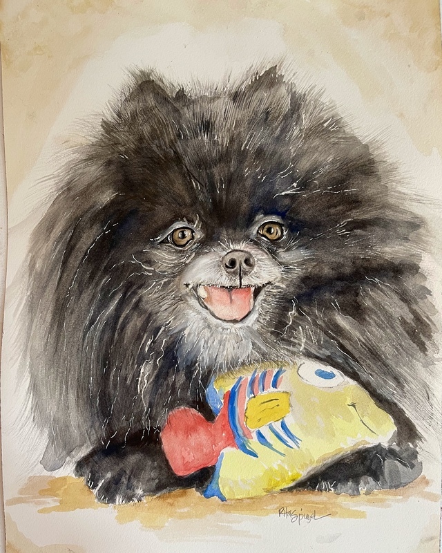  - Pet Portraits