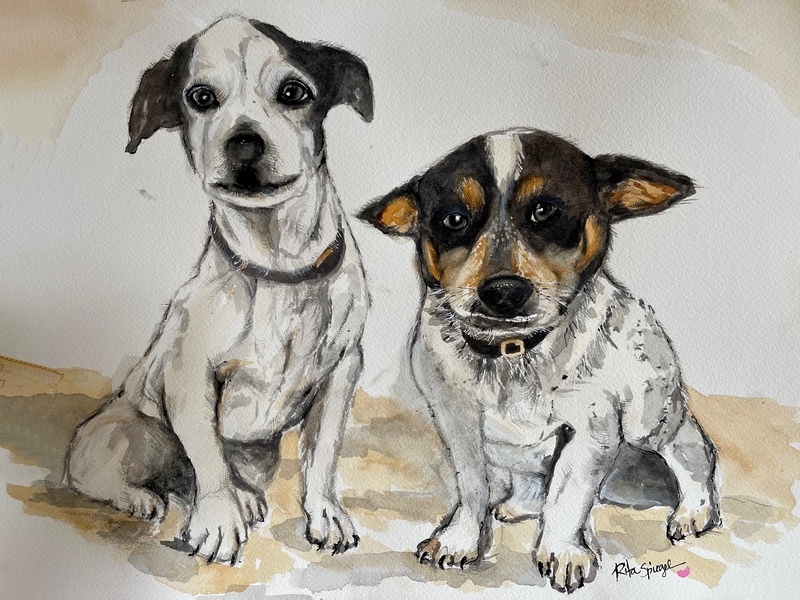  - Pet Portraits