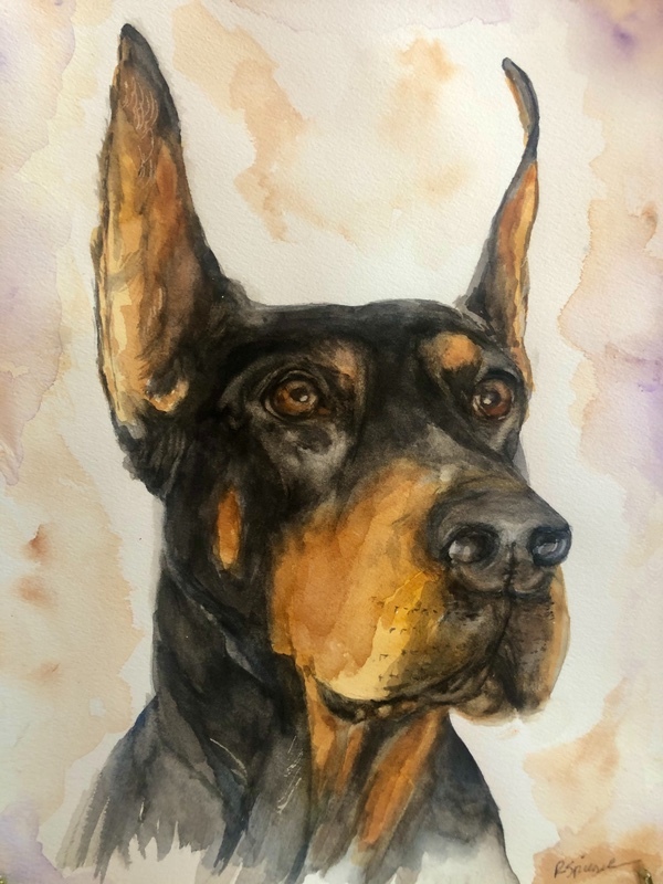 Letta - Pet Portraits
