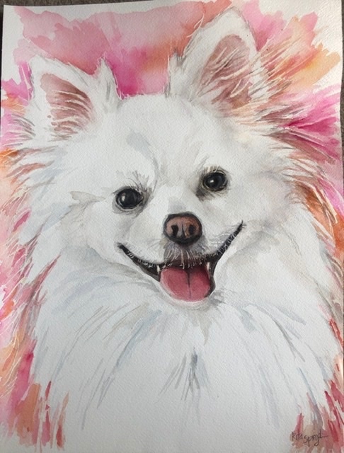Sophie - Pet Portraits