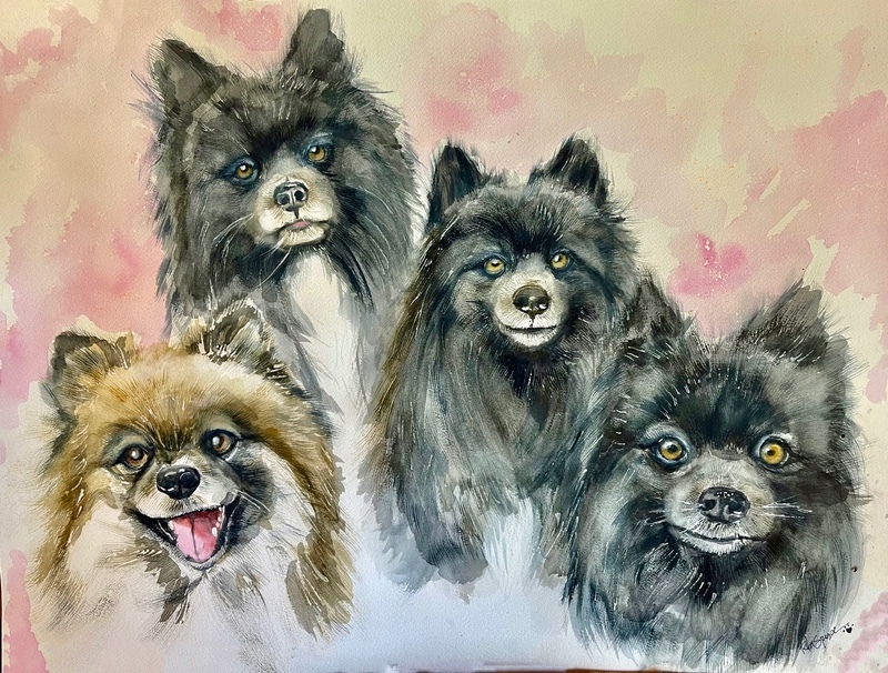  - Pet Portraits