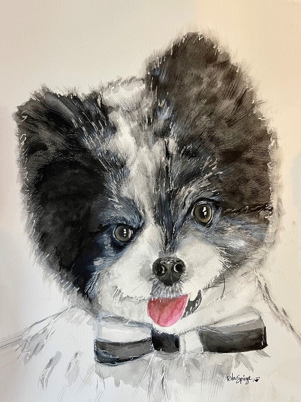  - Pet Portraits