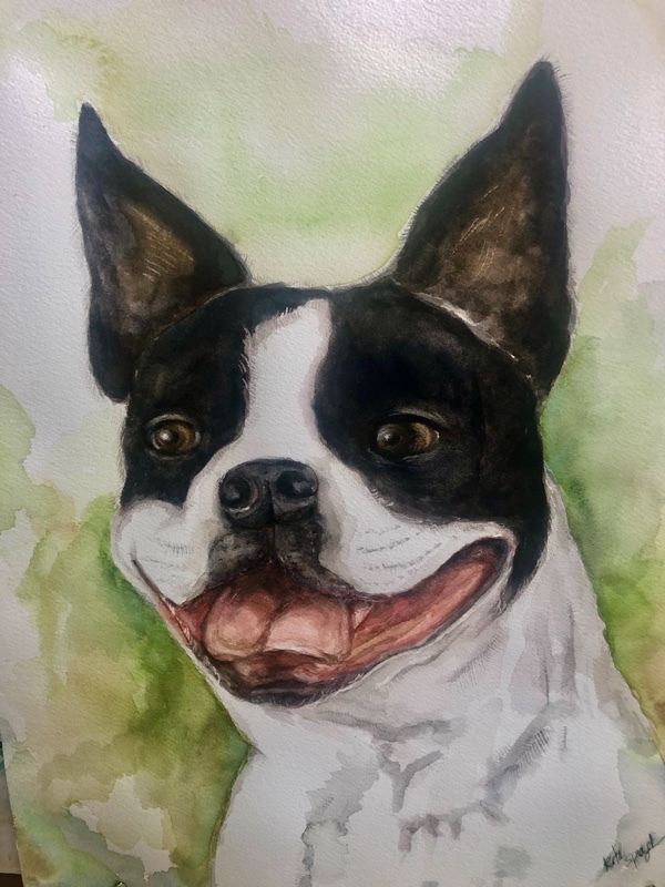 Lola - Pet Portraits