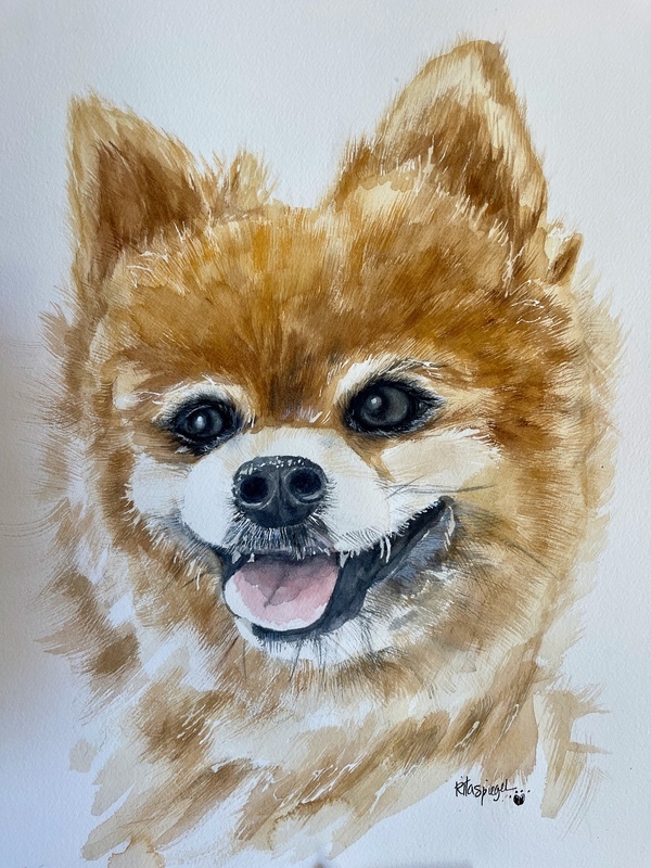  - Pet Portraits