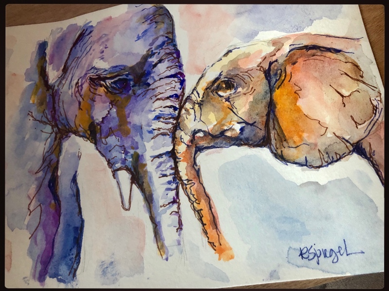  - Animals