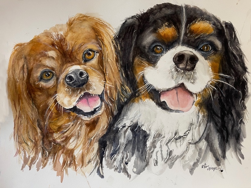  - Pet Portraits