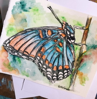  - 20 Paintings Series  ~ Butterflies