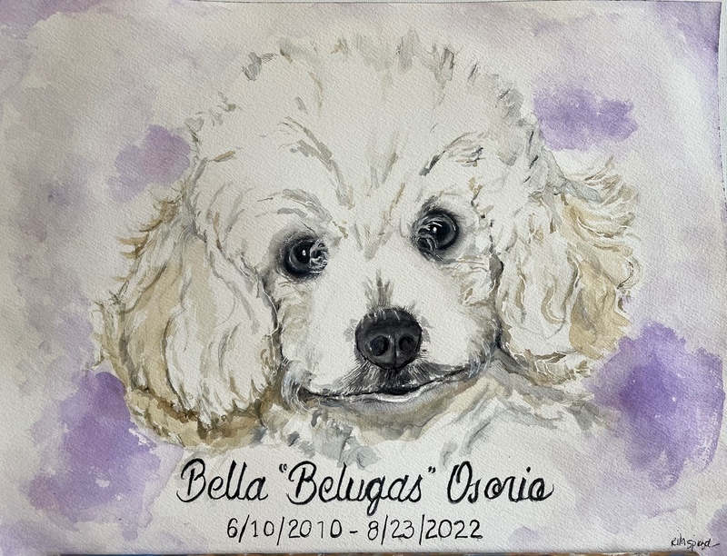  - Pet Portraits