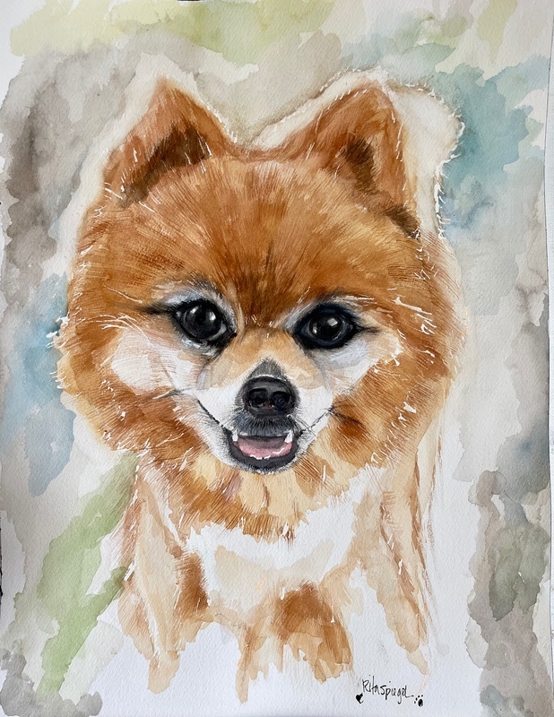  - Pet Portraits