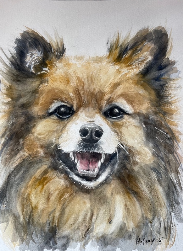  - Pet Portraits