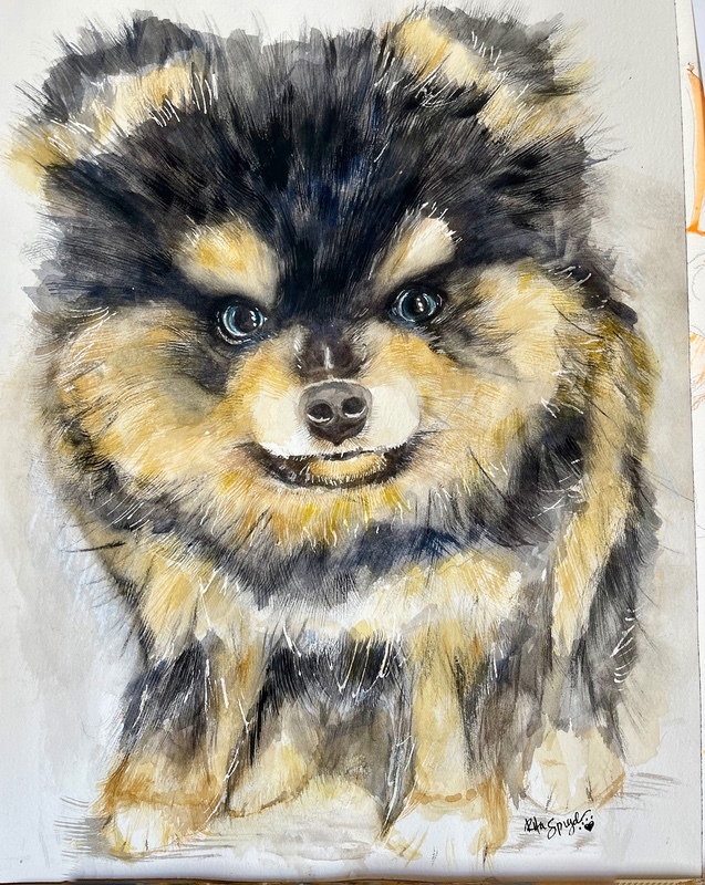  - Pet Portraits