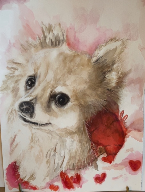  - Pet Portraits