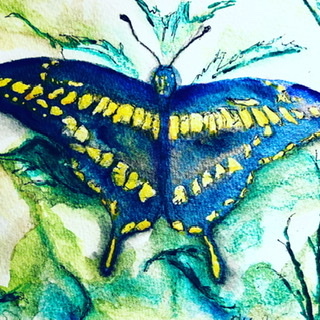  - 20 Paintings Series  ~ Butterflies