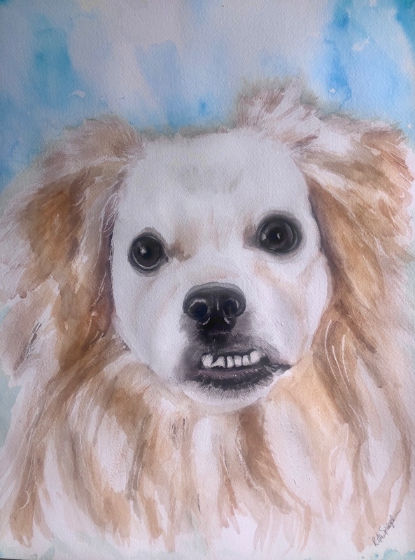  - Pet Portraits