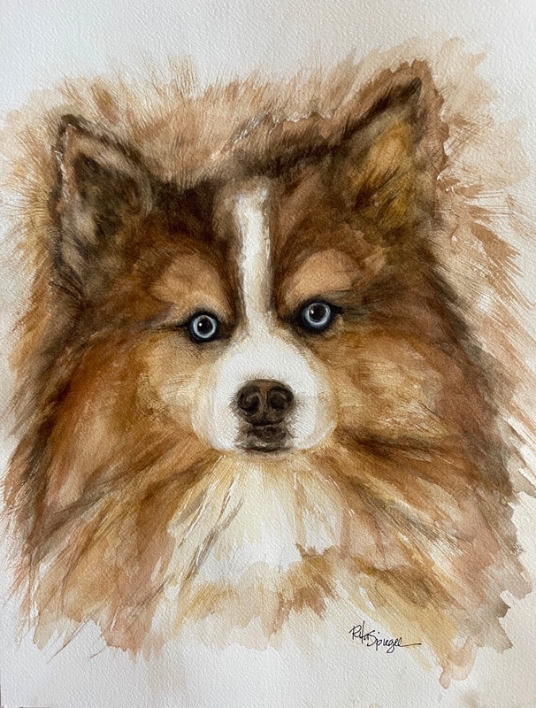  - Pet Portraits