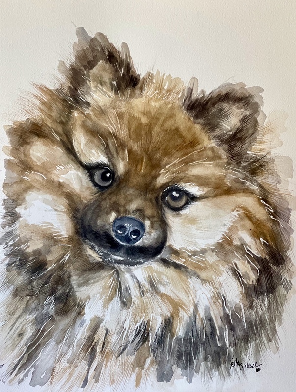  - Pet Portraits