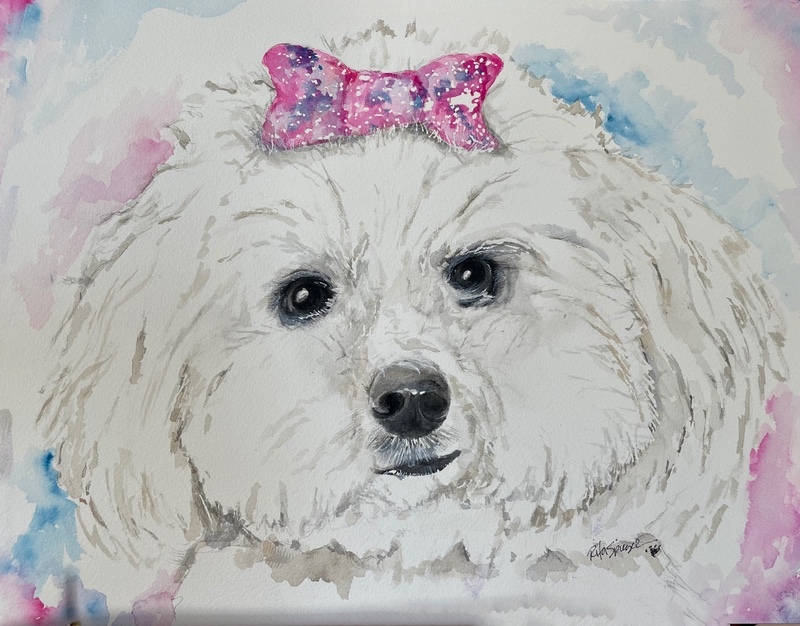 - Pet Portraits