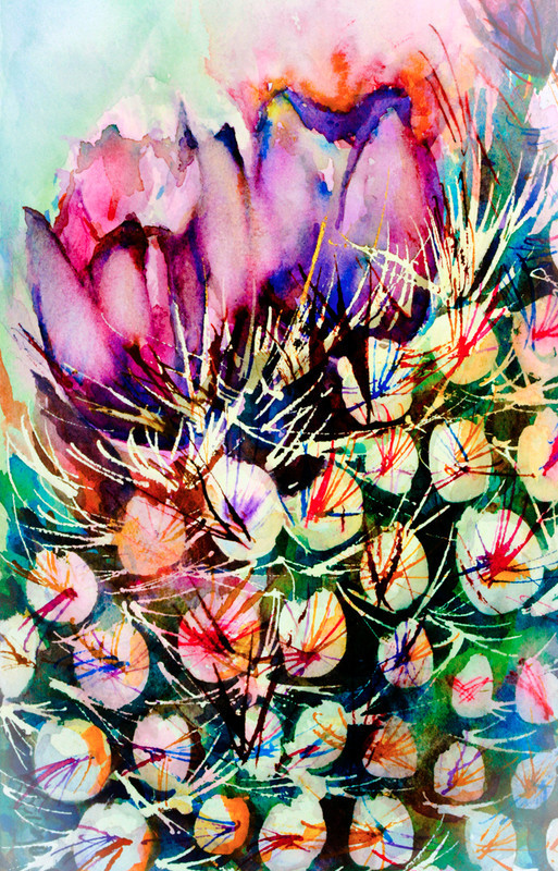  - Flowers & Nature