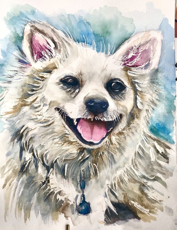 Kharma - Pet Portraits