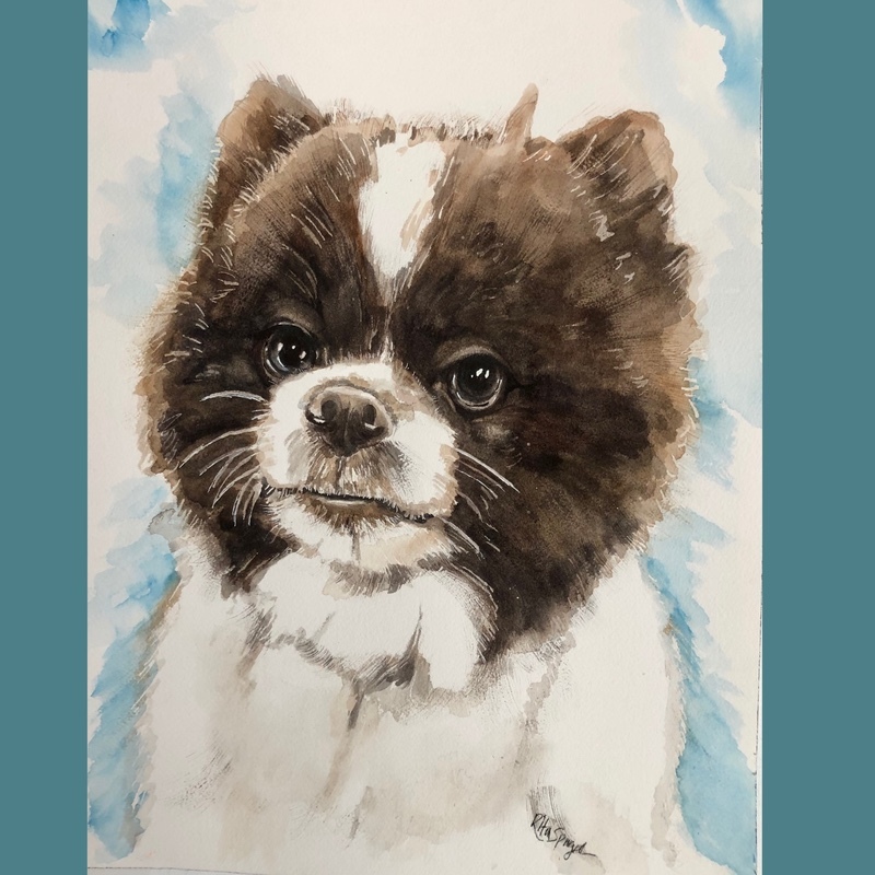  - Pet Portraits