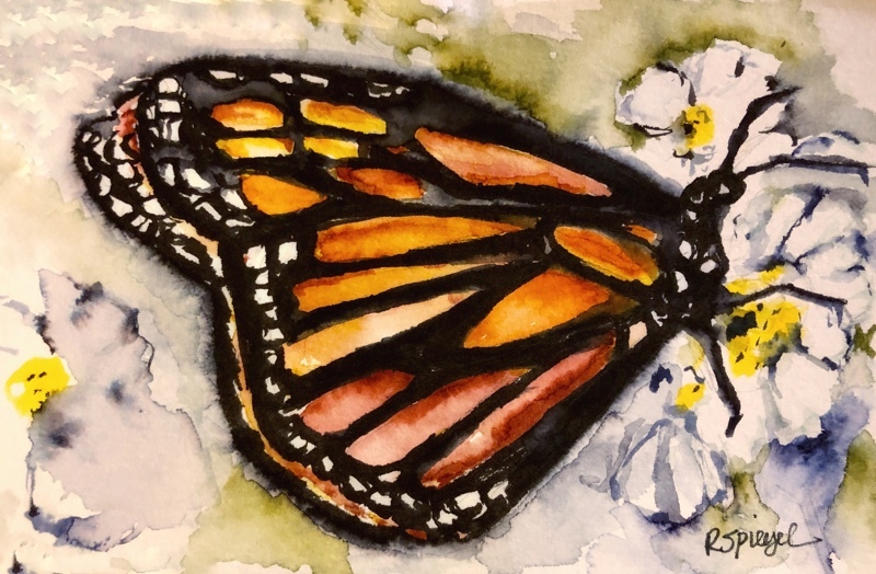  - Butterflies