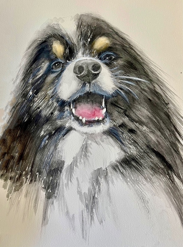  - Pet Portraits