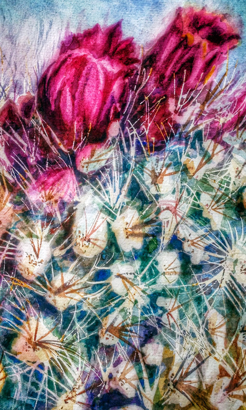  - Flowers & Nature