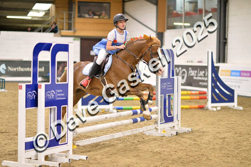 D4N_4963 - NorthcoteSun26thOct'25 Unaff.Jumping AvailableUntil28thNov'25