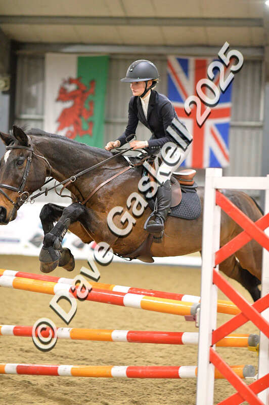 D4N_6578 - NorthcoteSun16thNov'25 Unaff.Jumping AvailableUntil16thDec'25