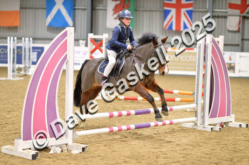 D4N_5537 - NorthcoteSun16thNov'25 Unaff.Jumping AvailableUntil16thDec'25