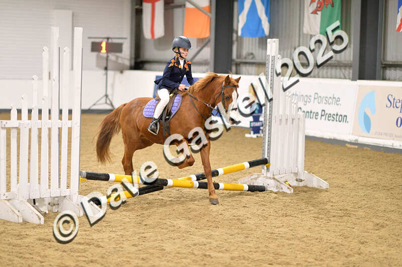 D4N_4714 - NorthcoteSun26thOct'25 Unaff.Jumping AvailableUntil28thNov'25