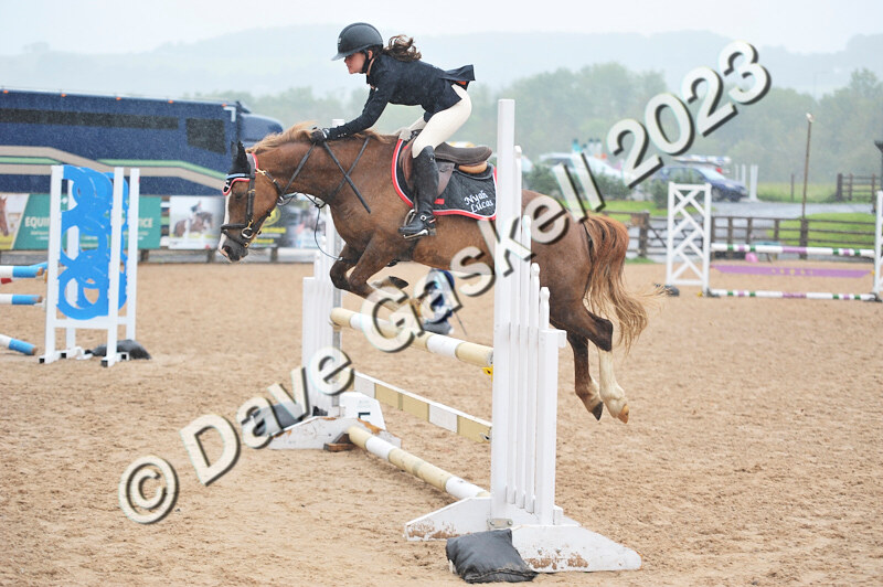 D8D_7404 - Juniors