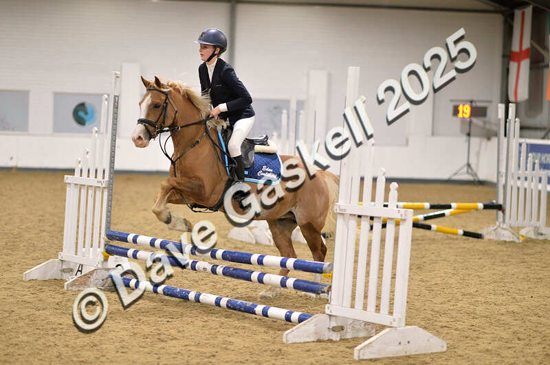 D4N_4981 - NorthcoteSun26thOct'25 Unaff.Jumping AvailableUntil28thNov'25