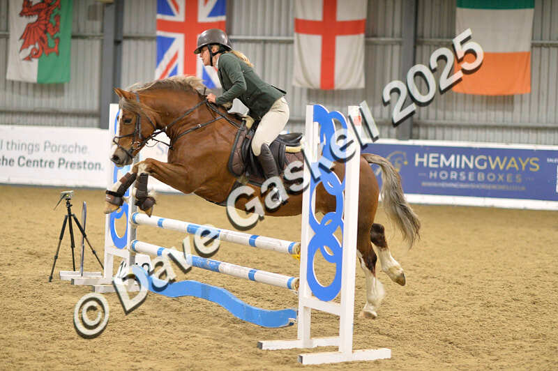 D4N_6138 - NorthcoteSun16thNov'25 Unaff.Jumping AvailableUntil16thDec'25