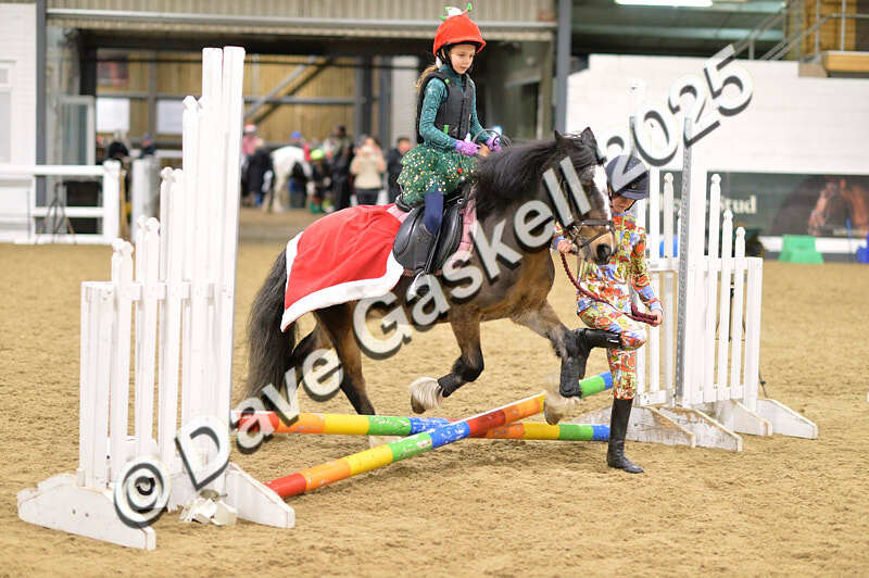 D4N_6647 - NorthcoteSat8thDec'25 XmasShowJumping AvailableUntil6thJan'26