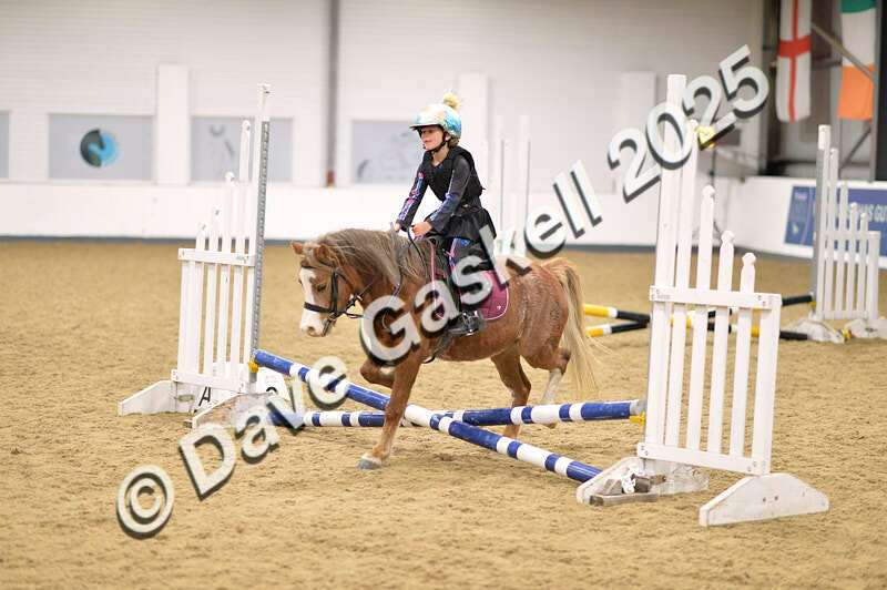 D4N_4670 - NorthcoteSun26thOct'25 Unaff.Jumping AvailableUntil28thNov'25