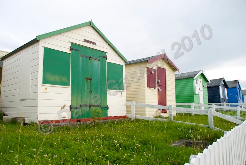 DSC_5654 - Westward Ho!