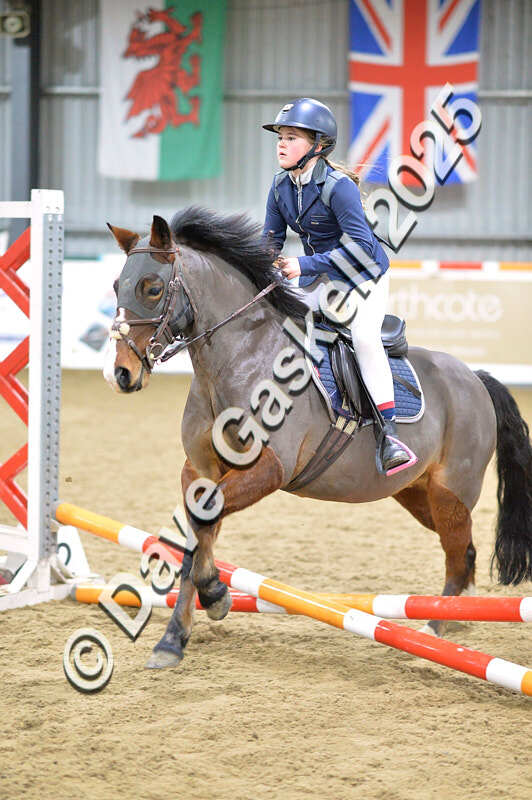 D4N_5516 - NorthcoteSun16thNov'25 Unaff.Jumping AvailableUntil16thDec'25