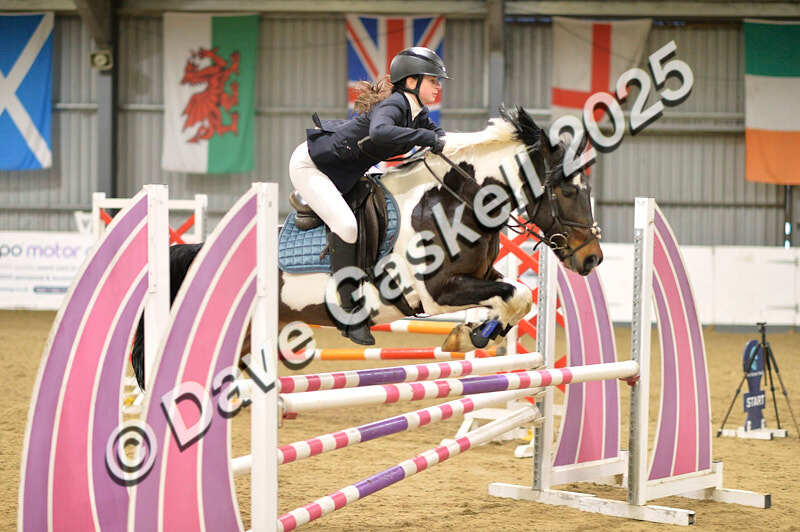 D4N_5939 - NorthcoteSun16thNov'25 Unaff.Jumping AvailableUntil16thDec'25