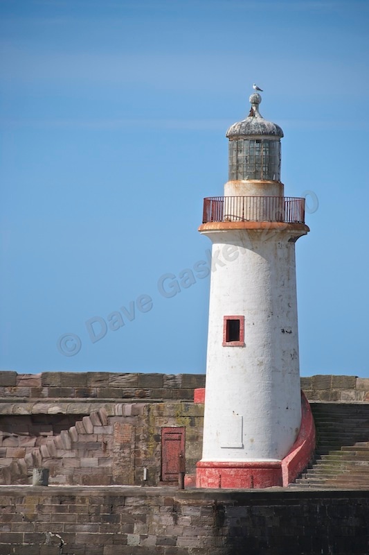 DSC_2997 - Version 4 - Whitehaven