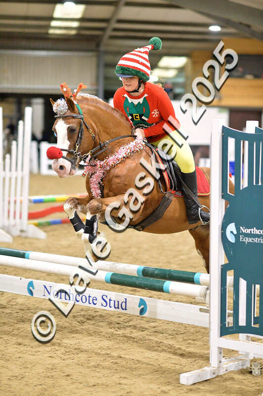 D4N_7116 - NorthcoteSat8thDec'25 XmasShowJumping AvailableUntil6thJan'26