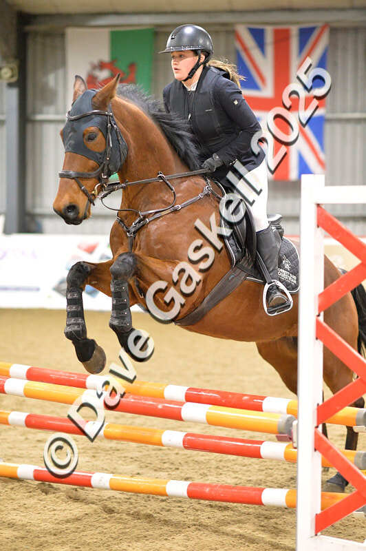 D4N_6259 - NorthcoteSun16thNov'25 Unaff.Jumping AvailableUntil16thDec'25