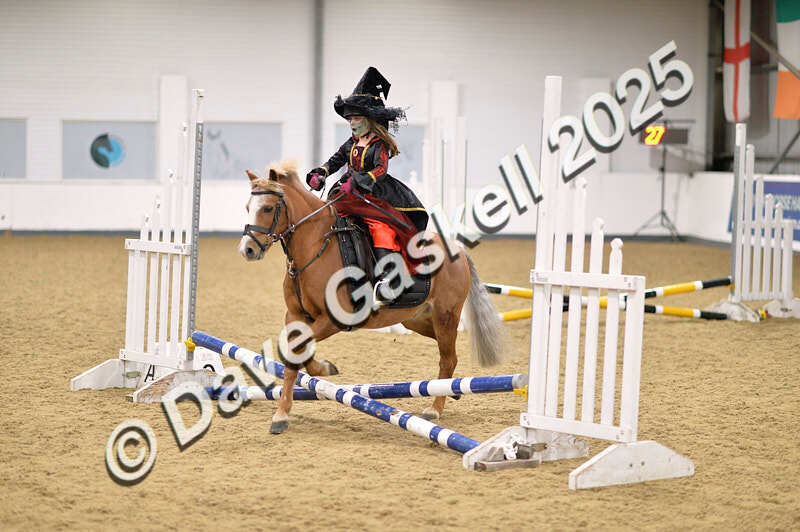 D4N_4694 - NorthcoteSun26thOct'25 Unaff.Jumping AvailableUntil28thNov'25