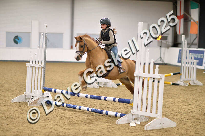 D4N_4766 - NorthcoteSun26thOct'25 Unaff.Jumping AvailableUntil28thNov'25