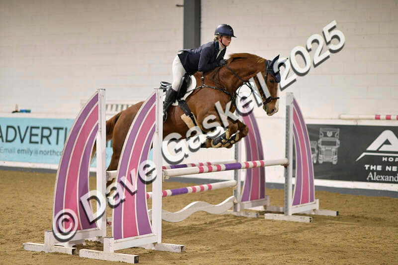 D4N_5474 - NorthcoteSun26thOct'25 Unaff.Jumping AvailableUntil28thNov'25